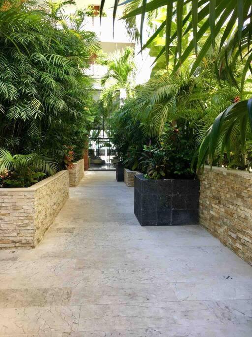 Your Exclusive Studio In The City - Top Amenities & Services For Free!! Playa del Carmen Extérieur photo