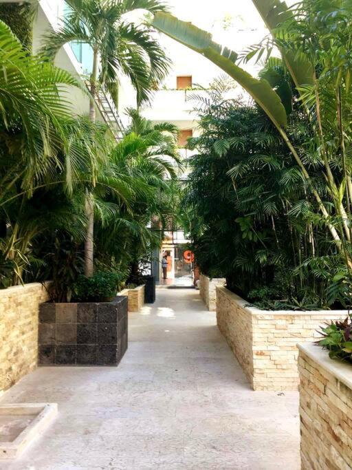Your Exclusive Studio In The City - Top Amenities & Services For Free!! Playa del Carmen Extérieur photo