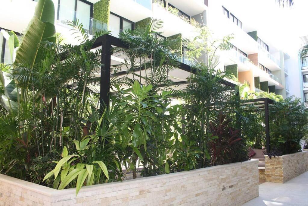 Your Exclusive Studio In The City - Top Amenities & Services For Free!! Playa del Carmen Extérieur photo